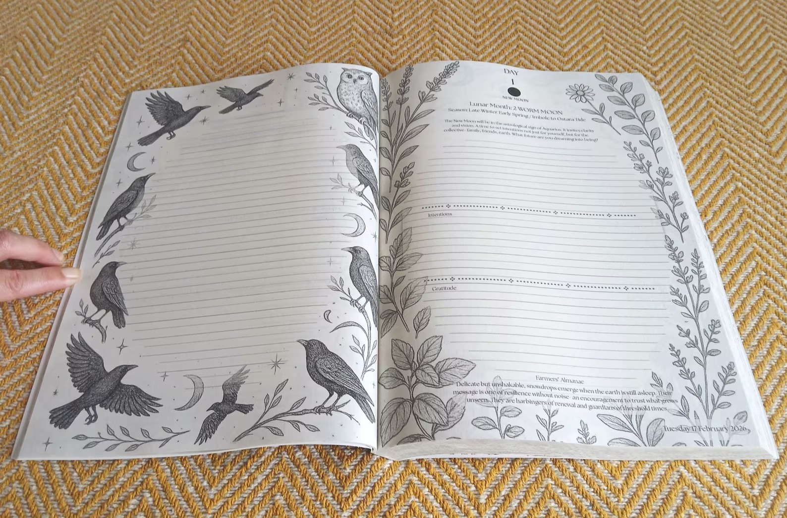 Diary interior pages